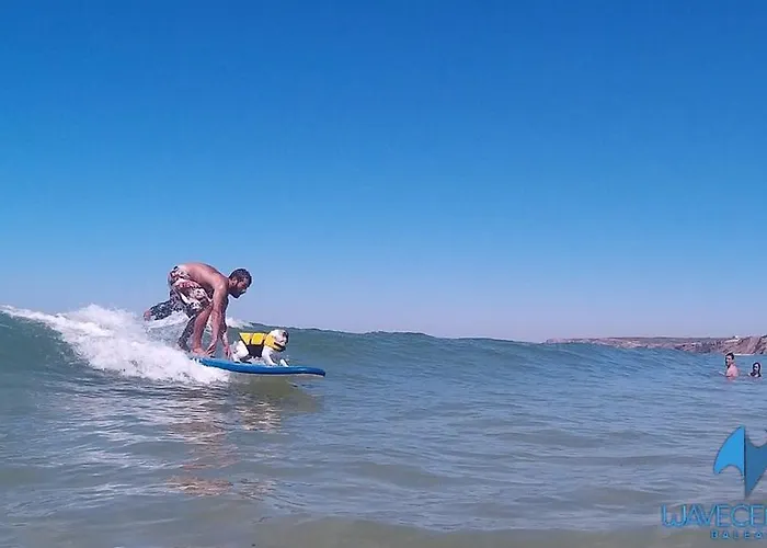 The Wave בית הארחה בליאל